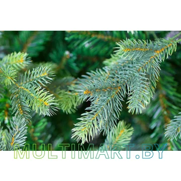 Ель Green Trees Грацио Премиум 2.4 м картинка 3
